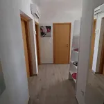 Bilokapic