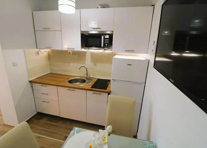 Bilokapic 프리모스턴